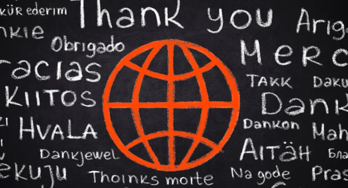 Capability Enhancement Services - Language Translation and Technical Security Solutions