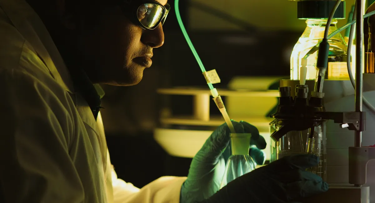 INSPECTION AND LABORATORIES