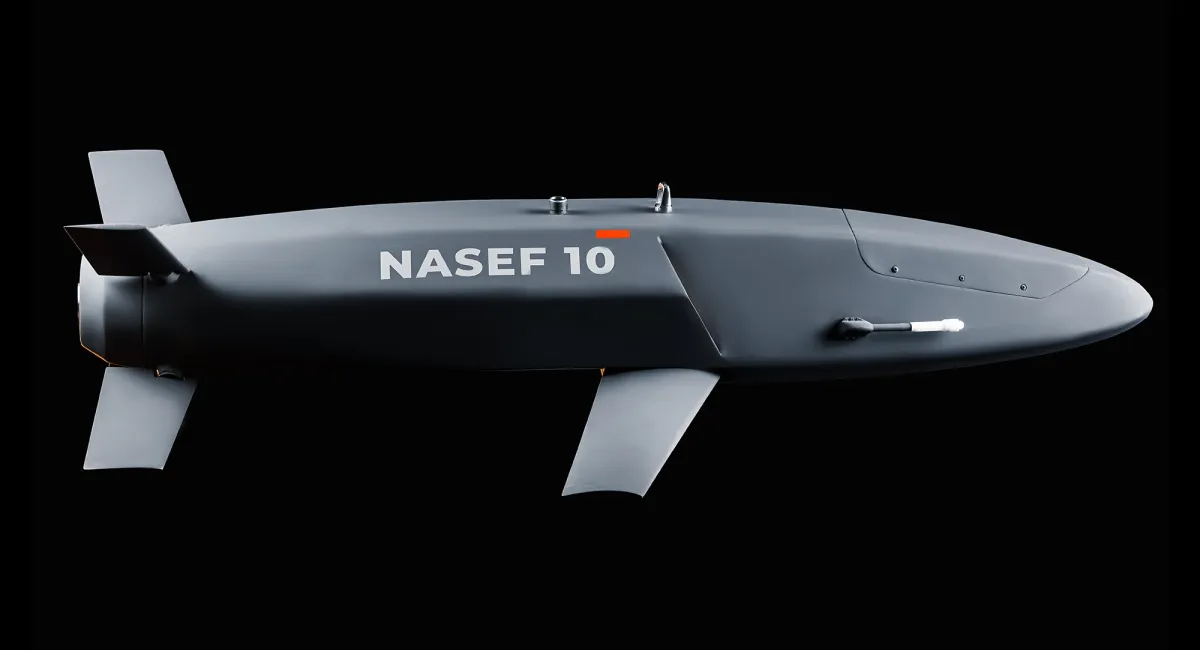 NASEF 10
