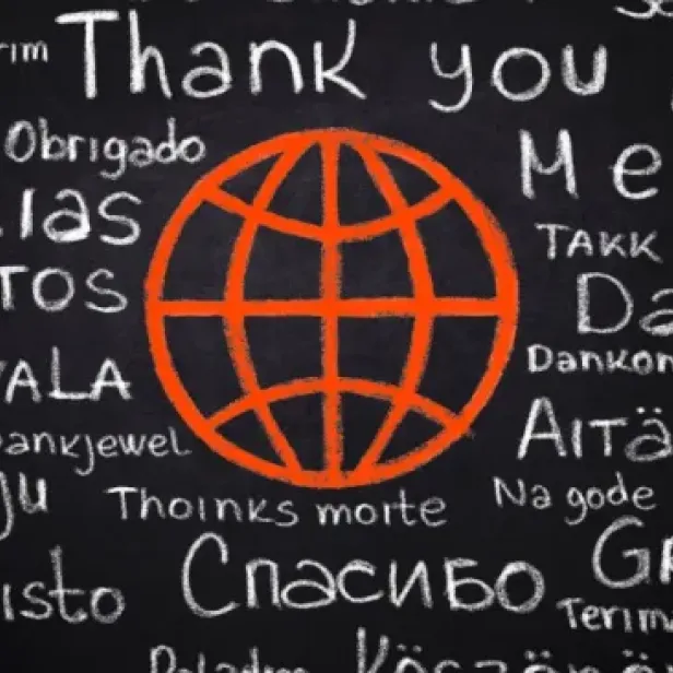 Capability Enhancement Services - Language Translation and Technical Security Solutions