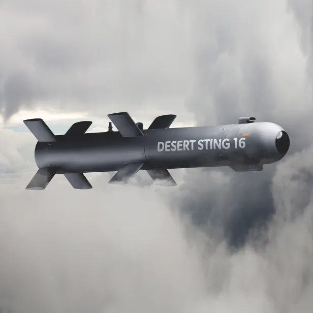 DESERT STING (DS-16)