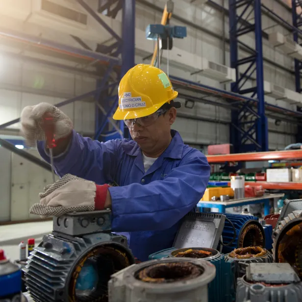 ELECTRICAL SERVICES