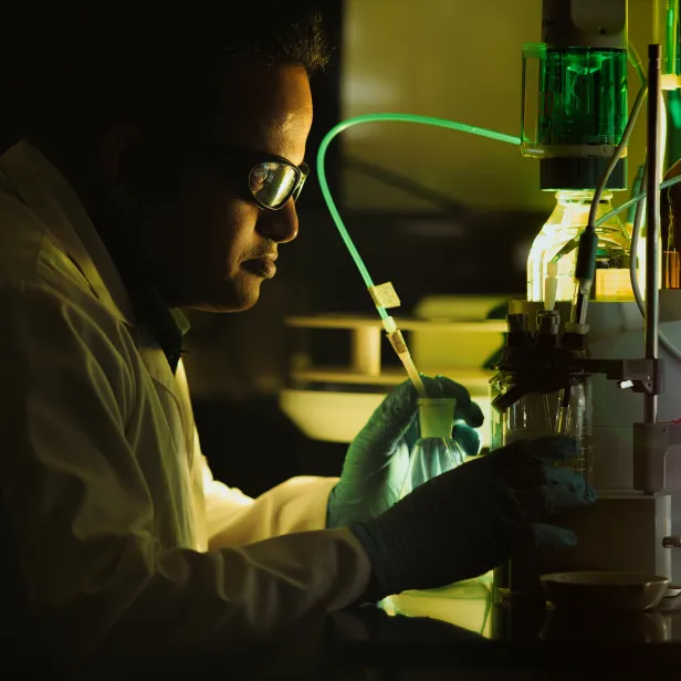 INSPECTION AND LABORATORIES
