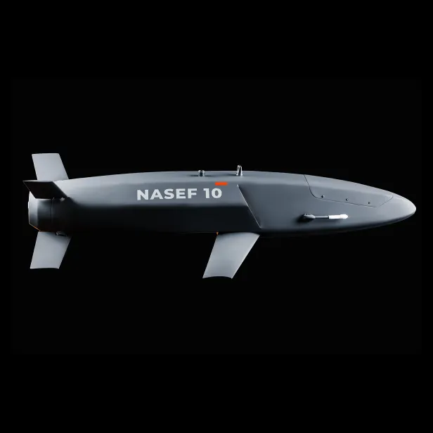NASEF 10