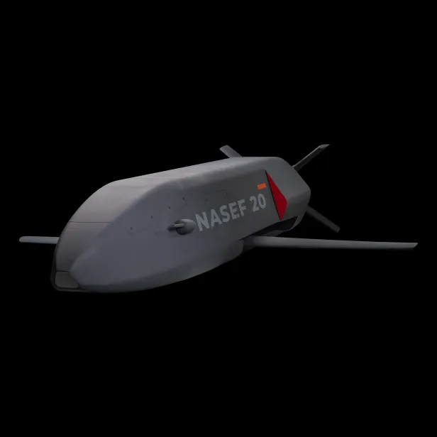 NASEF 20